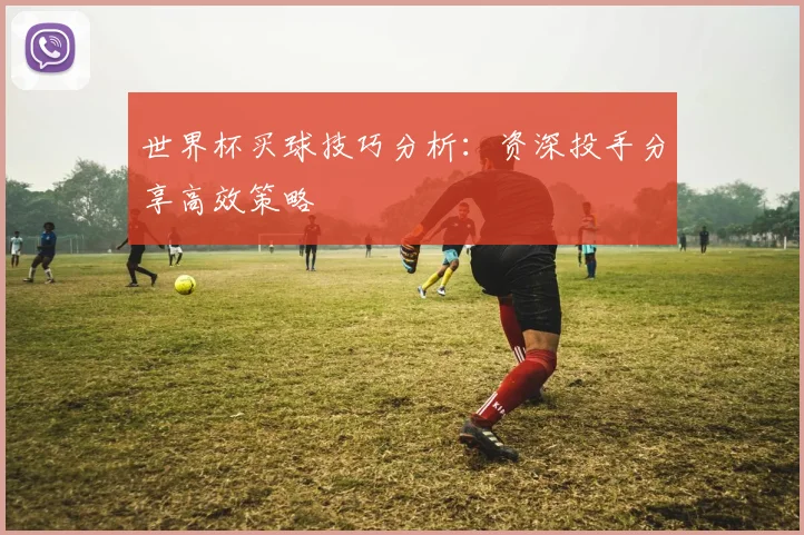 世界杯买球技巧分析:资深投手分享高效策略