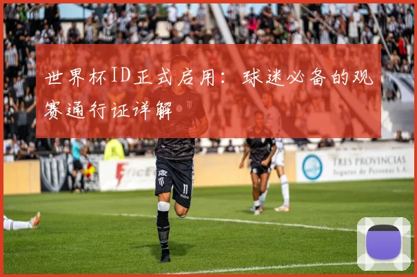 世界杯ID正式启用：球迷必备的观赛通行证详解