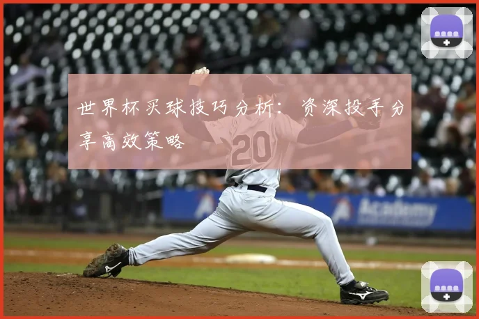 世界杯买球技巧分析:资深投手分享高效策略