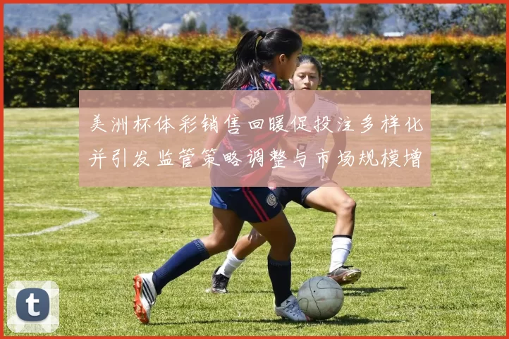 美洲杯体彩销售回暖促投注多样化并引发监管策略调整与市场规模增长