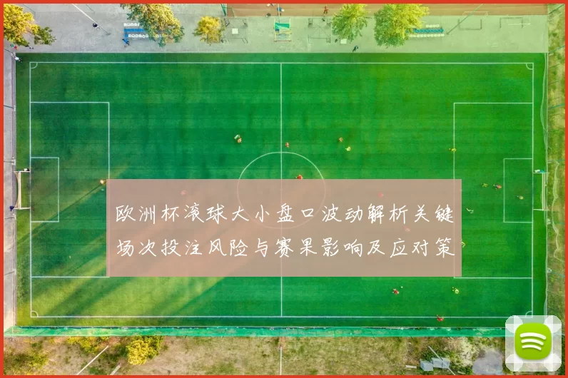 欧洲杯滚球大小盘口波动解析关键场次投注风险与赛果影响及应对策略